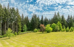3900 NE 425TH St, Woodland, WA 98674