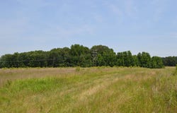 40 Acres, Fisher, AR 72429
