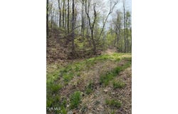 0 Pine Mountain Road, Rogersville, TN 37857