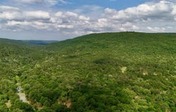 003 E Bolen Hollow W, Pittsburg, OK 74560
