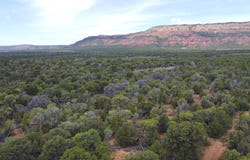 TBD County Road 95, Dinosaur, CO 81610