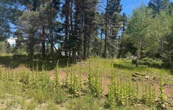 Lot 73 Calle de los Indios, Angel Fire, NM 87710