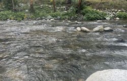 3931 Coffee Creek Rd, Coffee Creek, CA 96091