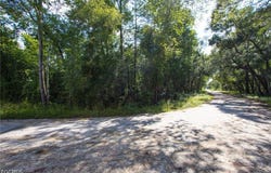 33464 Packingham Drive, Webster, FL 33597
