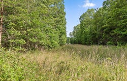 0 Griff Johnson Road, Menlo, GA 30731