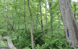 00 BLACK VALLEY ROAD, EVERETT, PA 15537