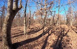 Tract A Greatview Lane, Lebanon, MO 65536