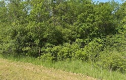 Tbd Severson NW, Evansville, MN 56326