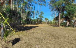 Paradise Lane lot: 1, Panacea, FL 32346