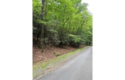Baldwin Drive lot: 35, Lowgap, NC 27024