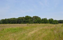 40 Acres, Fisher, AR 72429