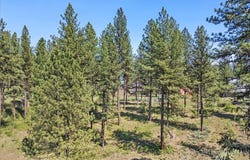 L1b11 Yarrow Dr, New Meadows, ID 83654