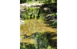 3282 Rock Creek Rd, Sawyer, OK 74756