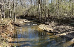 146 Acres Roosevelt, Warm Springs, GA 31830
