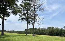 lot 378 East Madison Lake RD, Woodville, TX 75979