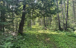 1961 Town Road 118, Birchdale, MN 56629