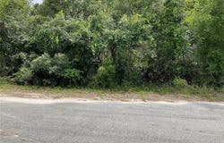 Tbd Lot 59 MALAUKA RADIAL TRAIL, OCKLAWAHA, FL 32179