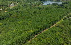 Lot 202 Peninsula Drive, Prosperity, SC 29127