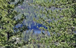 203 Mattapony Way, Red Feather Lakes, CO 80545