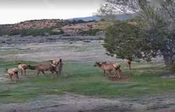 24 Lee Road, Cuba, NM 87013