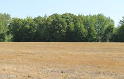 Williams Road, Henderson, TN 38340