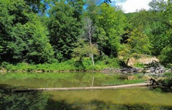 139 Kilbreth Lane, Garrison, KY 41141