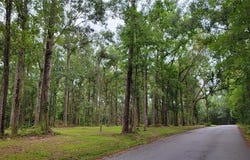 MILTON CRADDOCK Road lot: 0, Pearl River, LA 70452