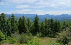 2705 RED TAIL WAY, COLVILLE, WA 99114