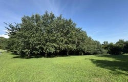 12-29H Finney Road, Glasgow, FL 42142