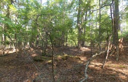 13 RIVERVIEW CT, Lincolnton, GA 30817