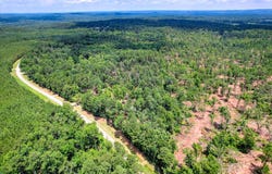 5628 Tubman Road, Appling, GA 30802