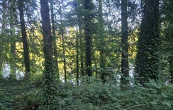21970 S RIVER LAKE Rd, Estacada, OR 97023