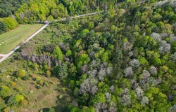 300 Miller Hollow Road, Waverly, NY 14892