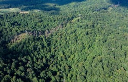 1300 block Homestead Valley Rd, New Hope, KY 40052