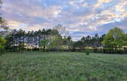 V/L cedar and 12th Street, Evart, MI 49631