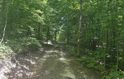 Parcel 9 Trail 33 Lane, Mancelona, MI 49659