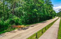 2145 W 15TH Avenue lot: D, Covington, LA 70433