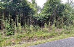 KELLEY ROAD, Quitman, LA 71268