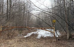 ON CTH B, Winter, WI 54896