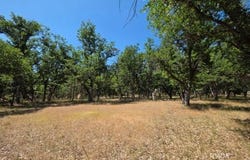 420 Oliva Dr, Hayfork, CA 96041