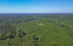 271 Shadeville Road, Wiggins, MS 39577