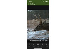 Hwy 9, BRUCE, MS 38915