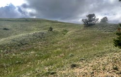 132 Freedom, Belfry, MT 59008