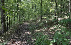 000 Hwy 110 Highway, Clinton, AR 72031