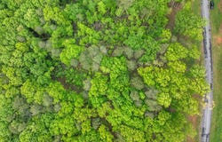 Lot 53 High Summit Drive, Talking Rock, GA 30175