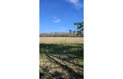 1075 County Road 417, Rector, AR 72461