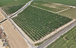 S Willow Avenue, Fresno, CA 93725