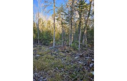 199 Poplar Street, Old Town, ME 04468