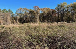 00 Sturgis Road, Pine Bluff, AR 71601