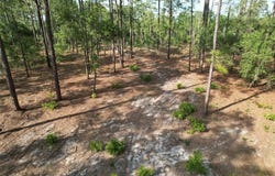 SE 148TH Court, MORRISTON, FL 32668